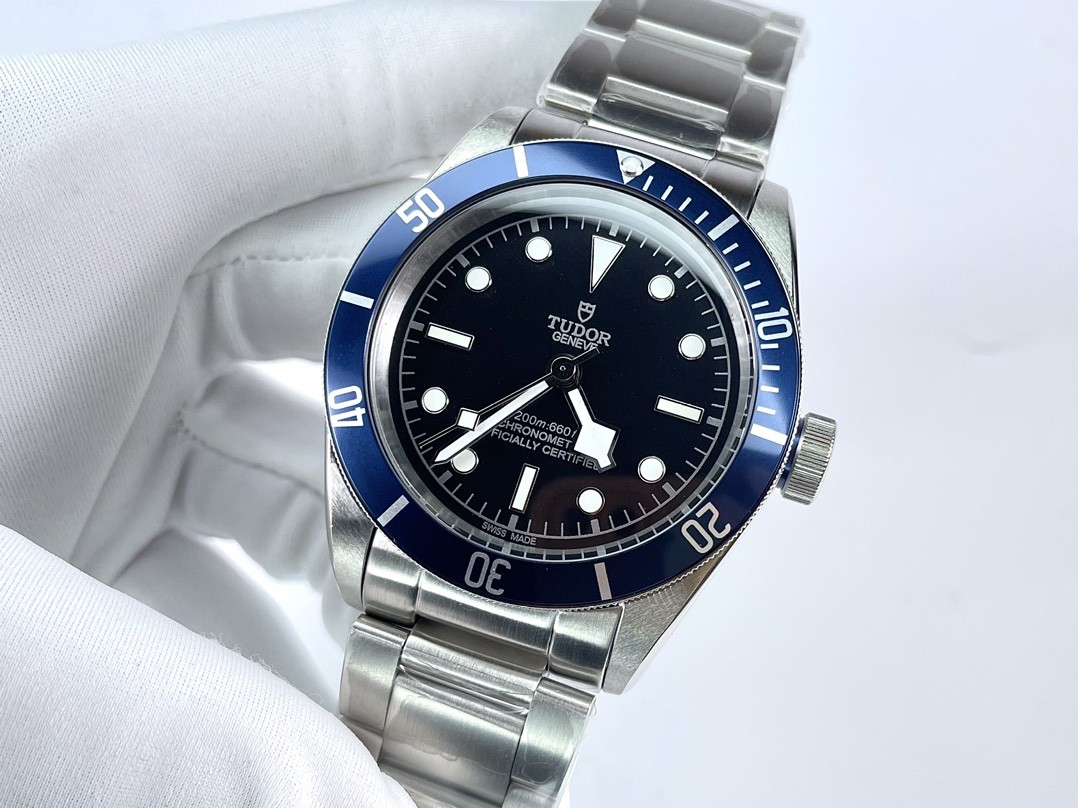 Tudor Ceramic Watch view 2