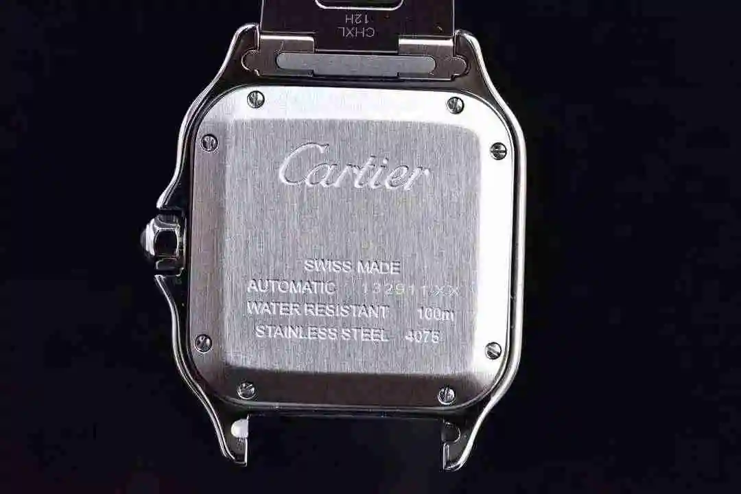 Santos de Cartier watch view 5
