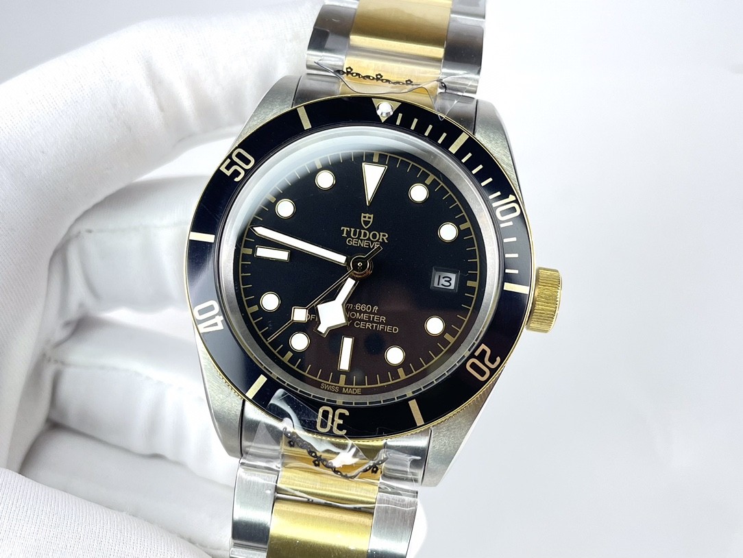 Tudor Ceramic Watch view 2