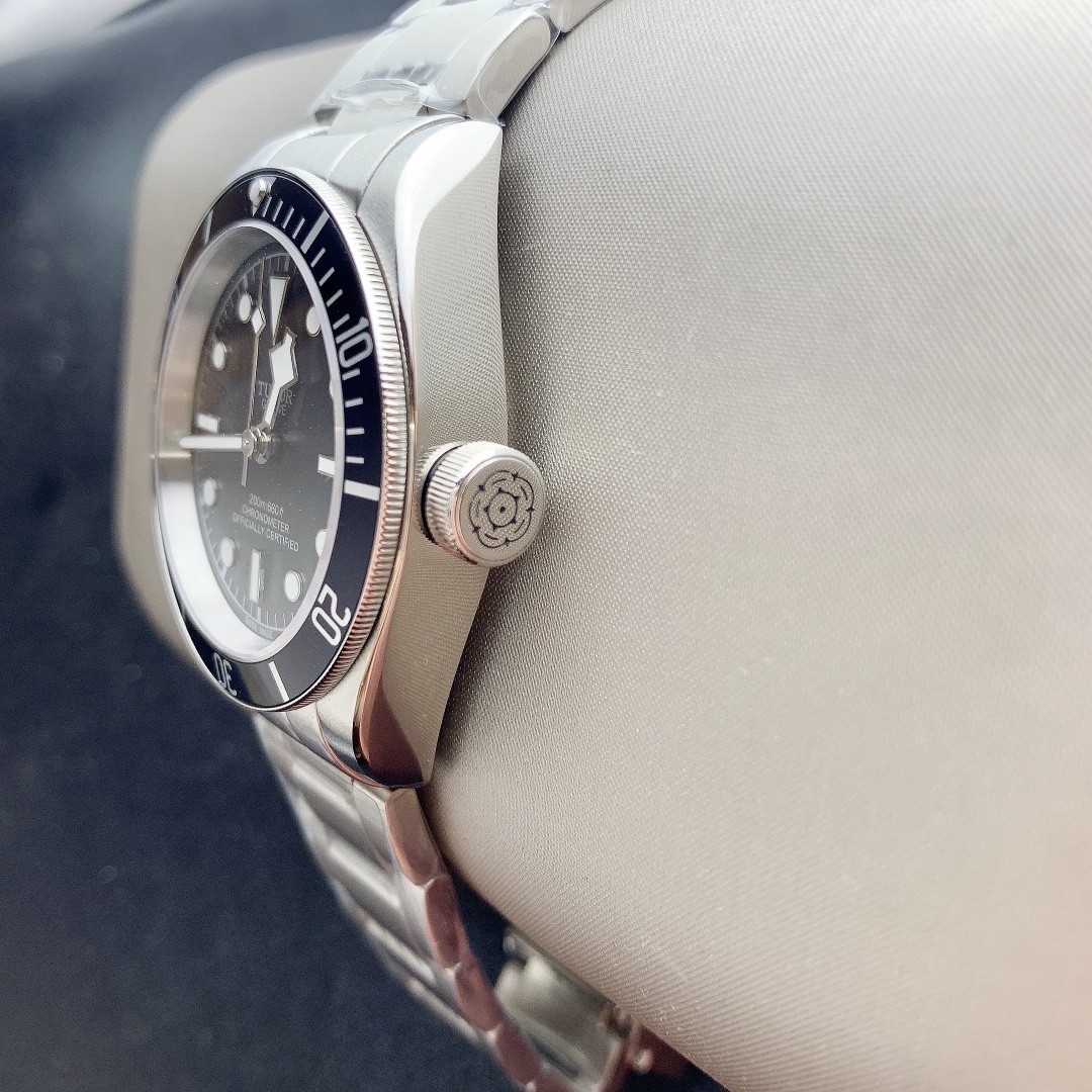 Tudor Ceramic Watch view 6