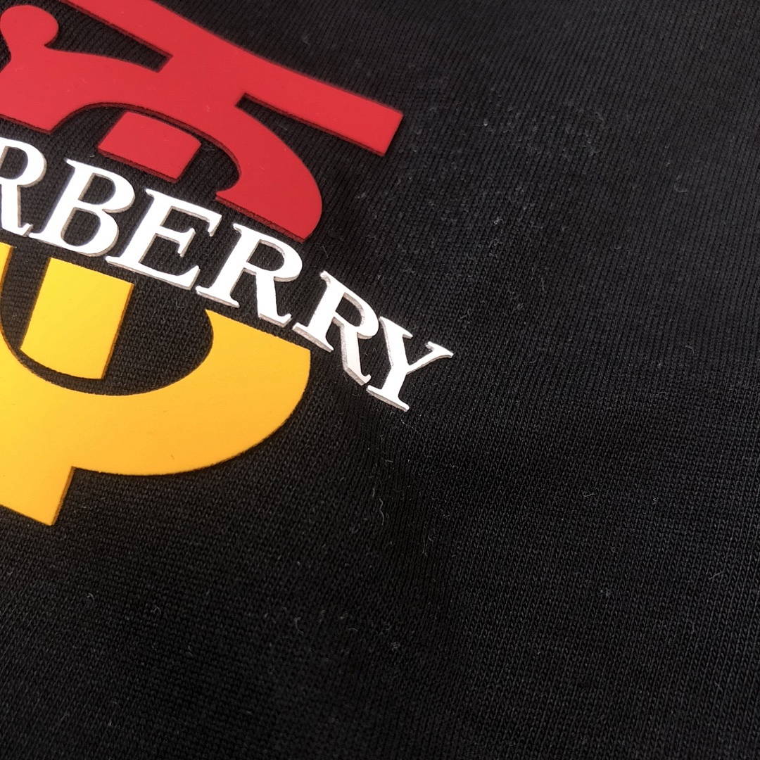 Burberry T-Shirt Style 022 detail view 1