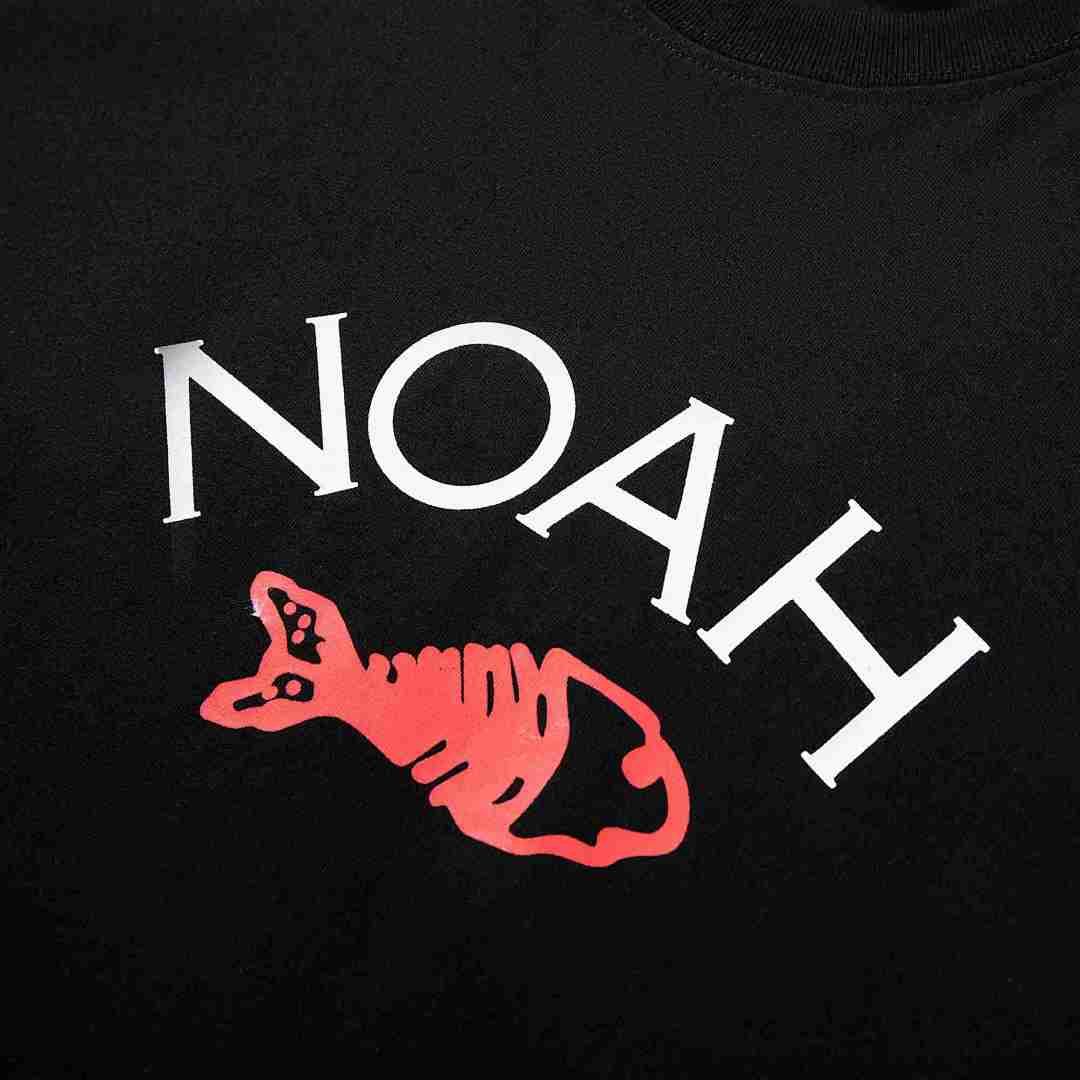 Noah T-Shirt Style 045 detail view 6