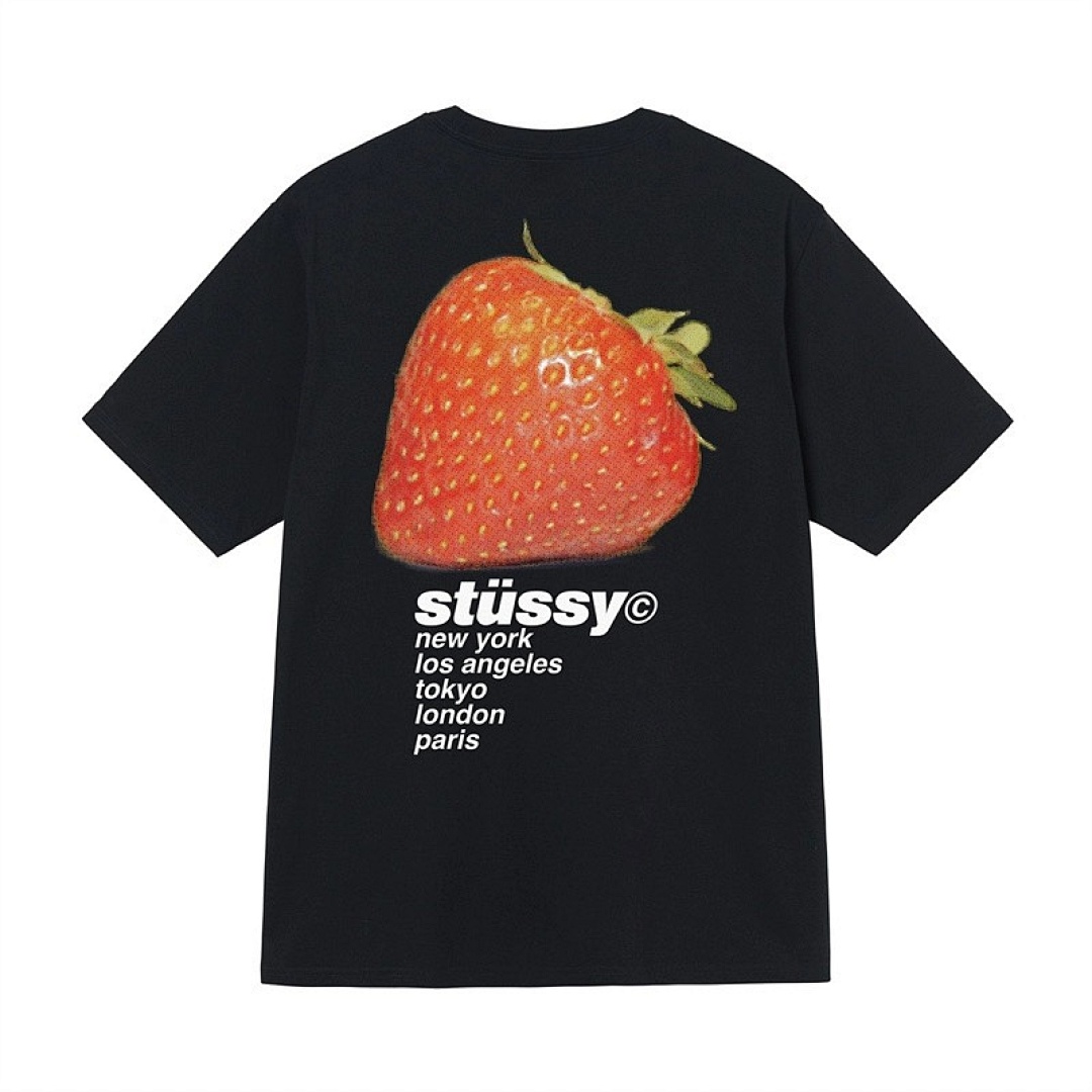 Stussy T-Shirt Style 018 main view