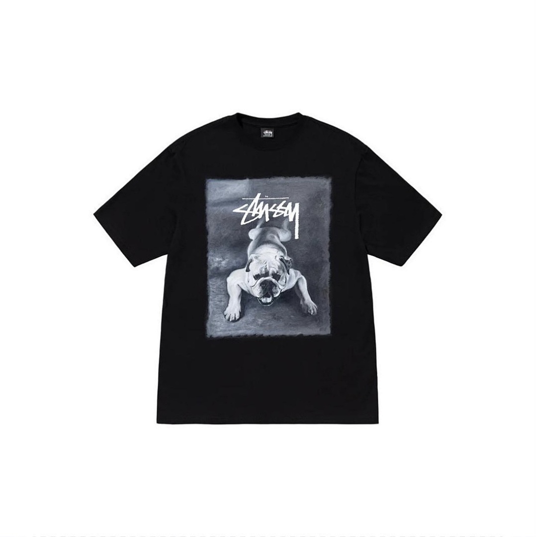 Stussy T-Shirt Style 032 detail view 1