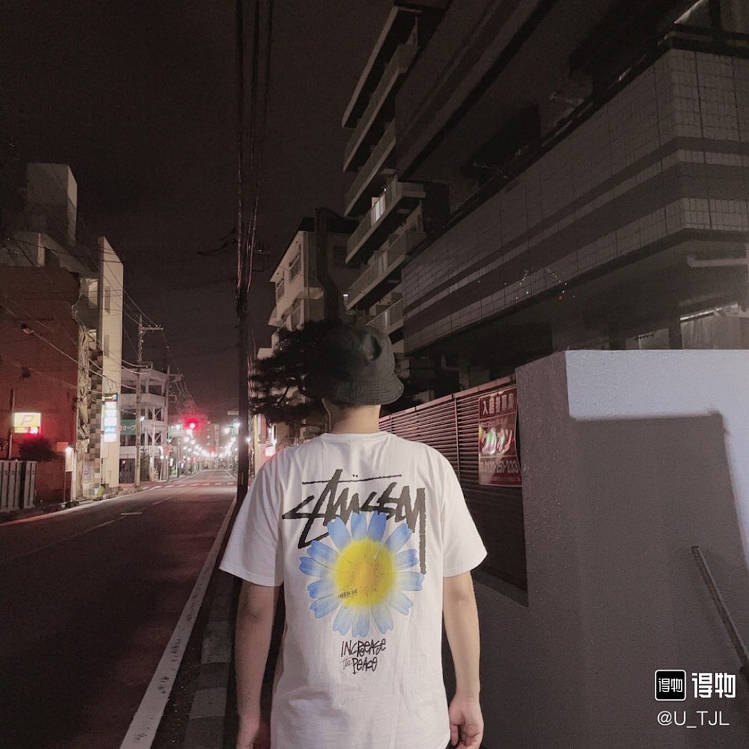 Stussy T-Shirt Style 034 detail view 1