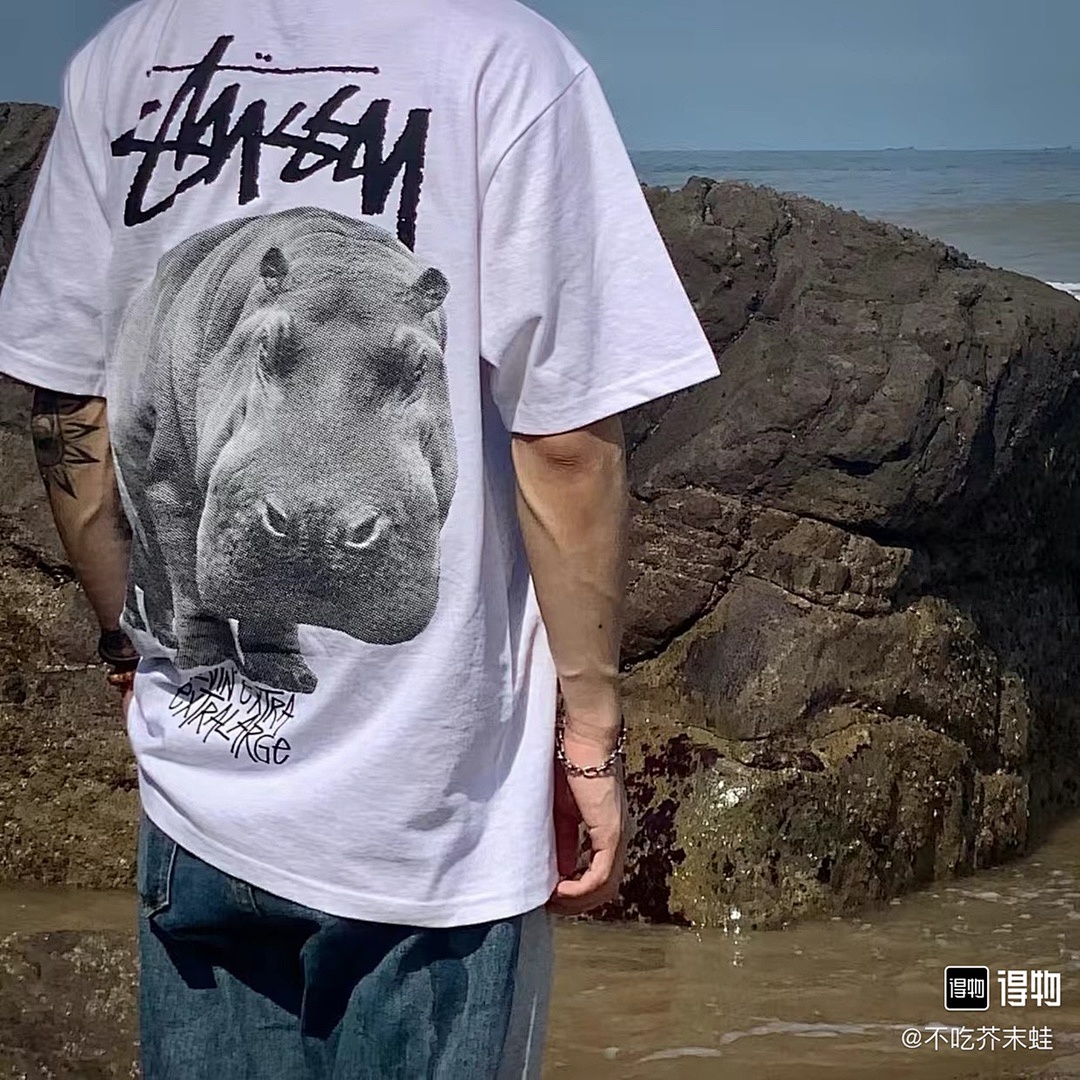 Stussy T-Shirt Style 055 main view