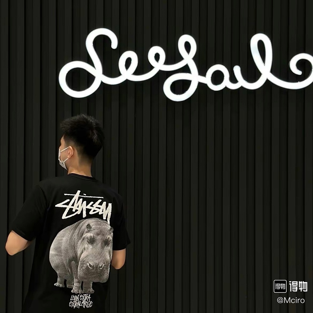 Stussy T-Shirt Style 055 detail view 2