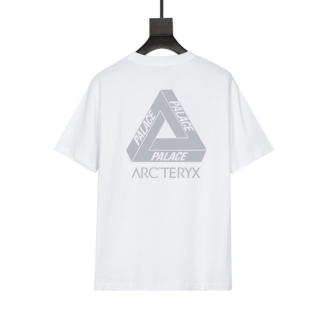Arc'teryx T-Shirt Style 005 main view