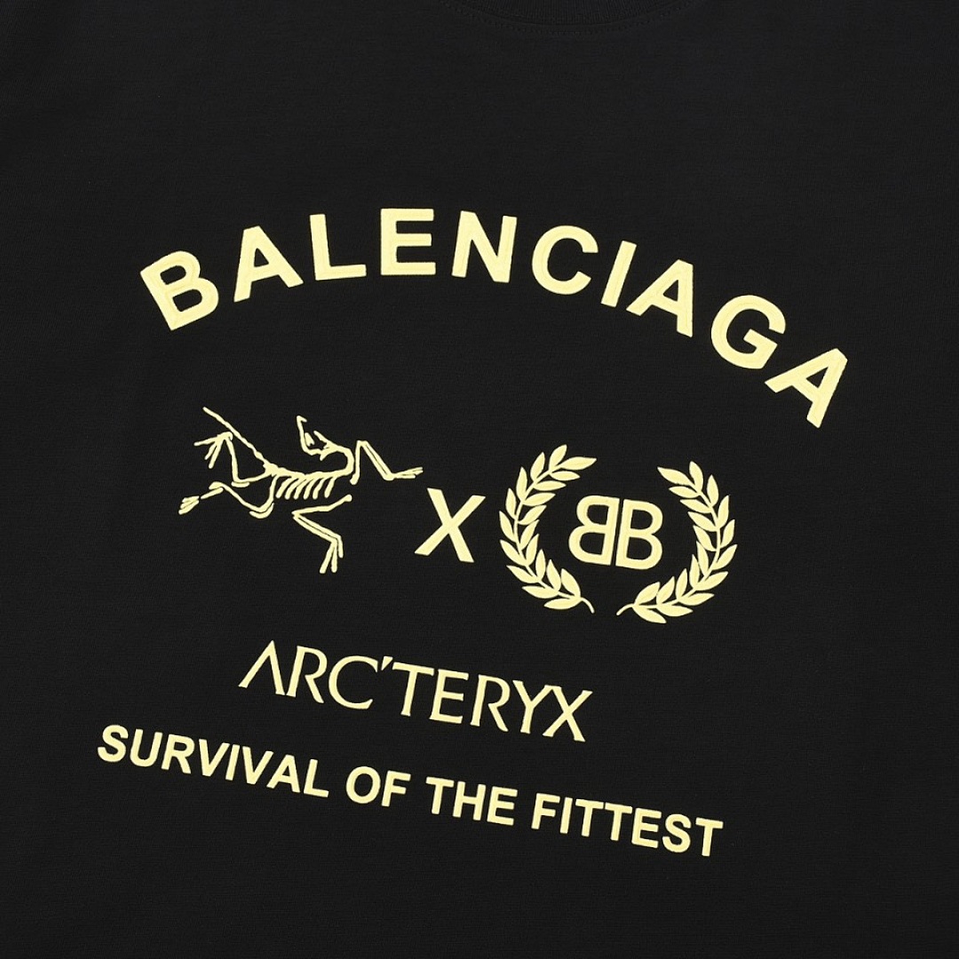 Balenciaga T-Shirt Style 313 main view