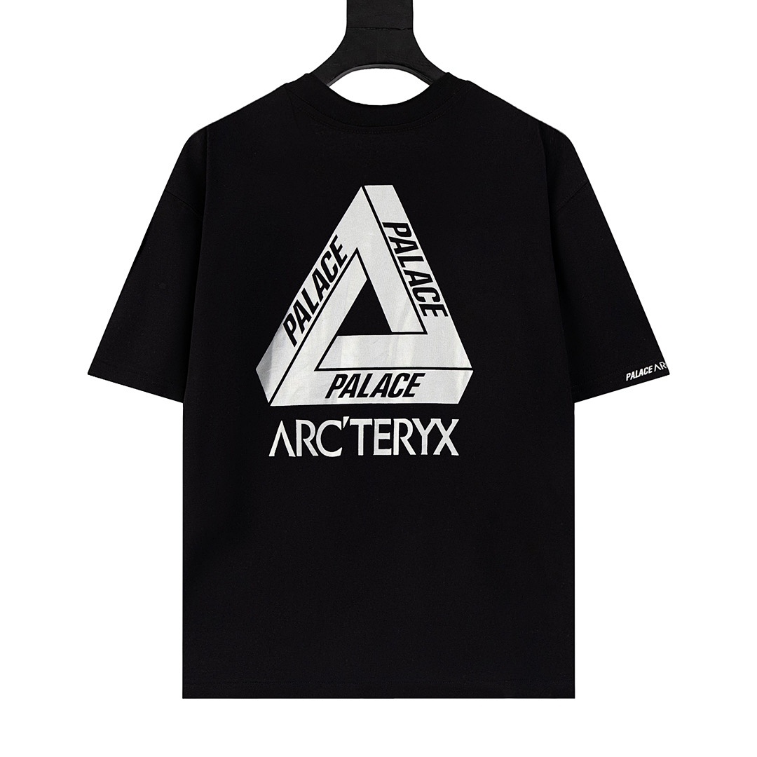 Arc'teryx T-Shirt Style 035 main view