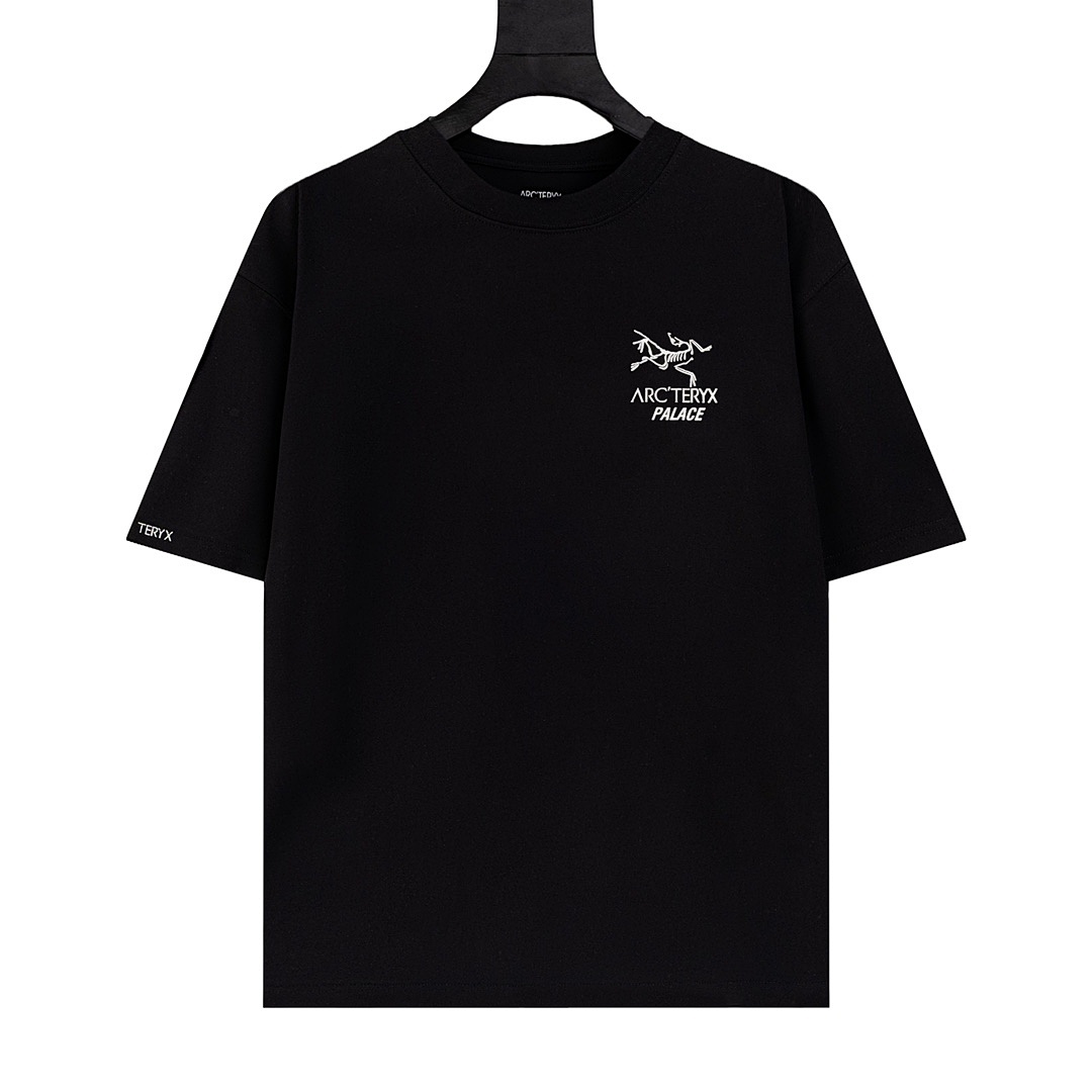 Arc'teryx T-Shirt Style 035 detail view 2