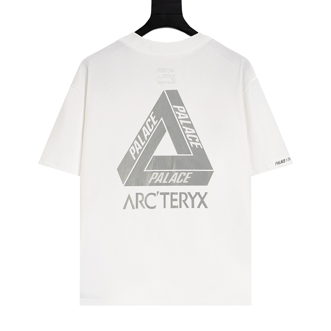 Arc'teryx T-Shirt Style 036 detail view 1