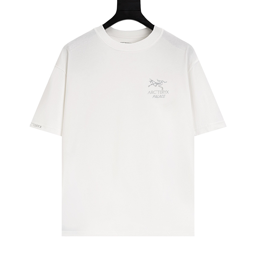 Arc'teryx T-Shirt Style 036 detail view 2
