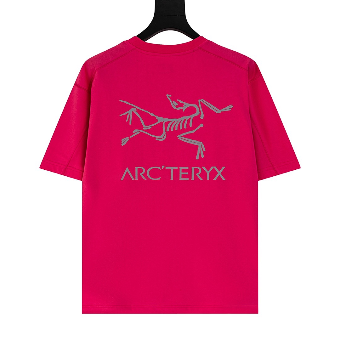 Arc'teryx T-Shirt Style 041 detail view 1
