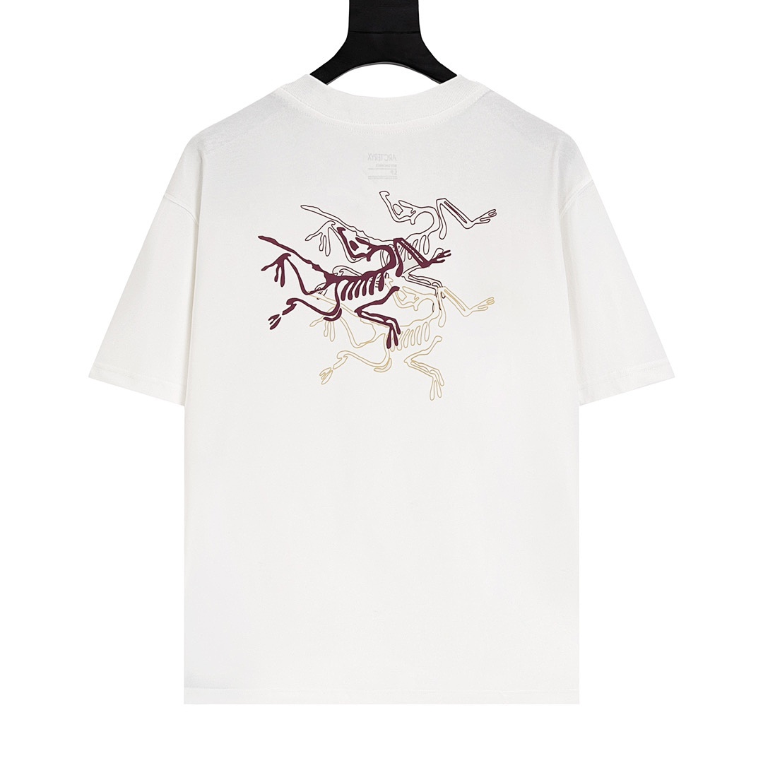 Arc'teryx T-Shirt Style 081 main view