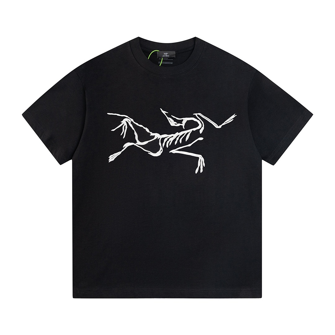 Arc'teryx T-Shirt Style 101 main view