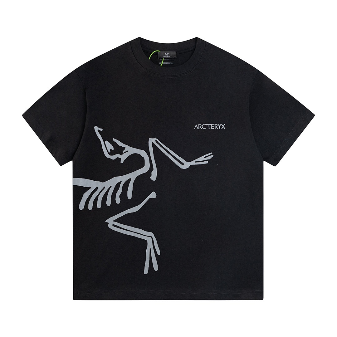 Arc'teryx T-Shirt Style 102 main view