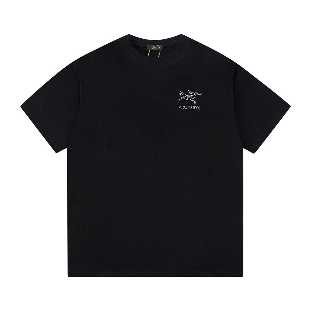 Arc'teryx T-Shirt Style 103 main view