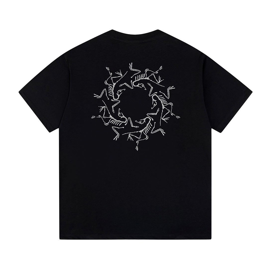 Arc'teryx T-Shirt Style 104 main view