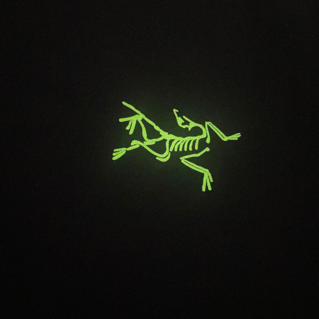 Arc'teryx T-Shirt Style 109 main view