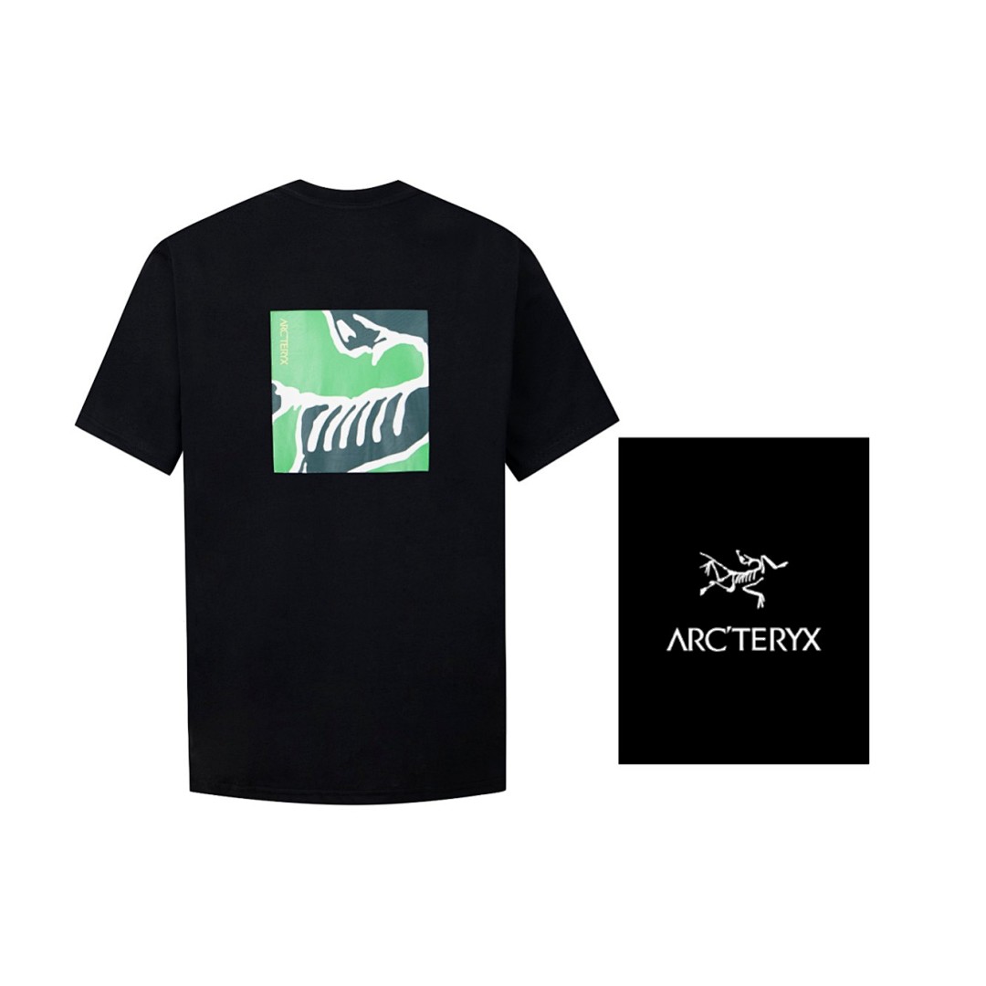 Arc'teryx T-Shirt Style 111 main view