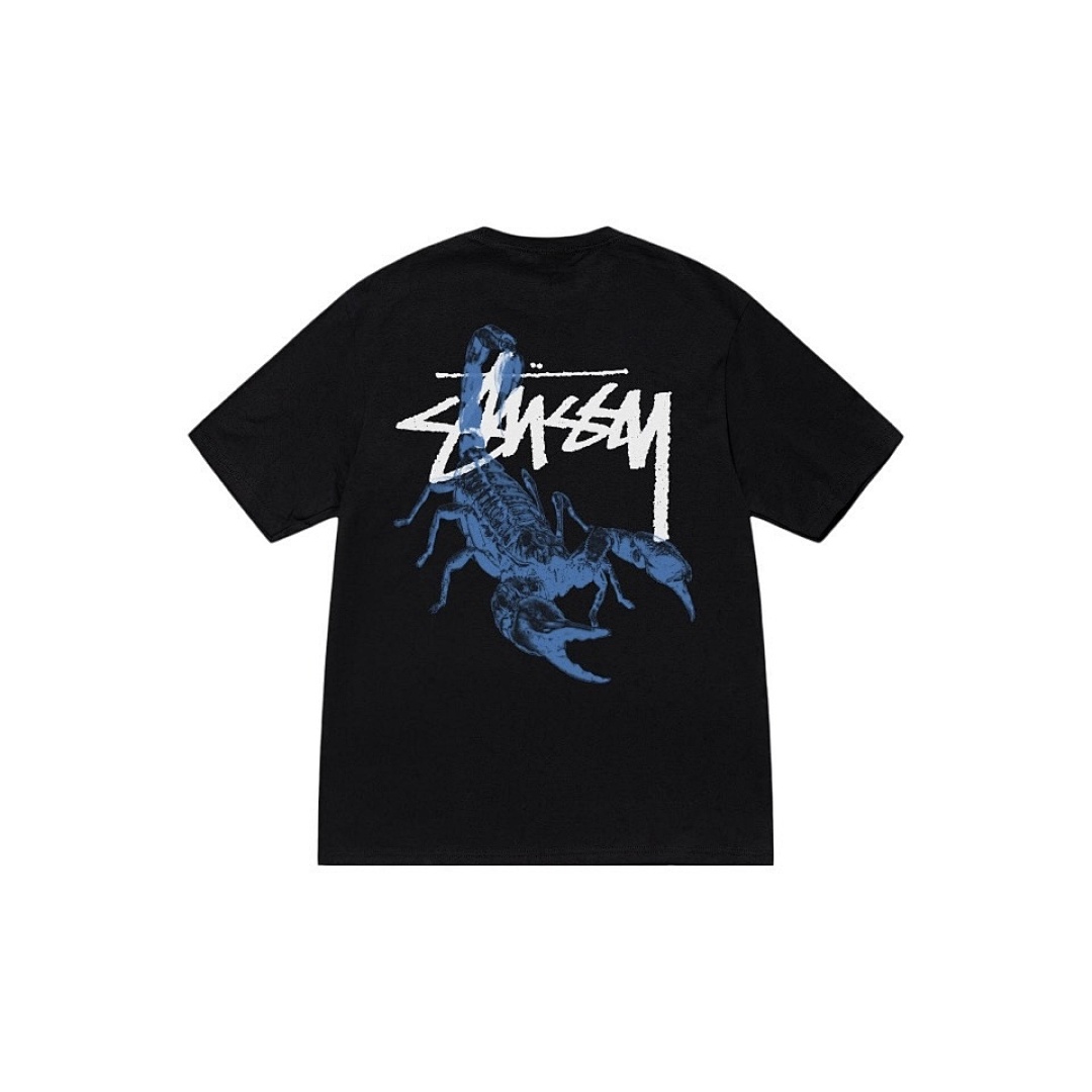 Stussy T-Shirt Style 109 main view