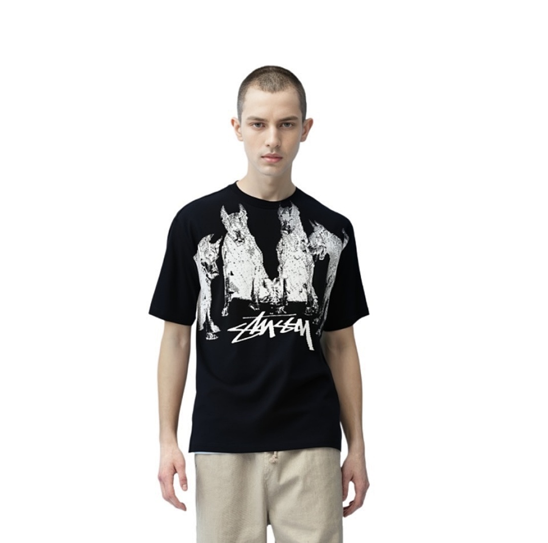 Stussy T-Shirt Style 114 detail view 2