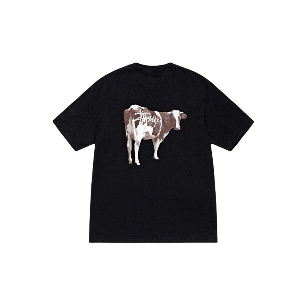 Stussy T-Shirt Style 143 detail view 2