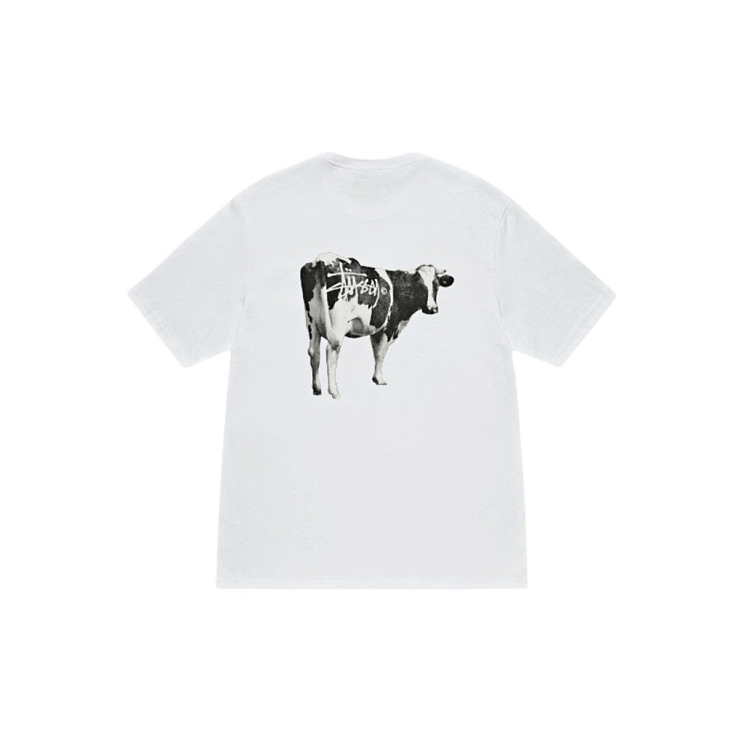 Stussy T-Shirt Style 143 detail view 5