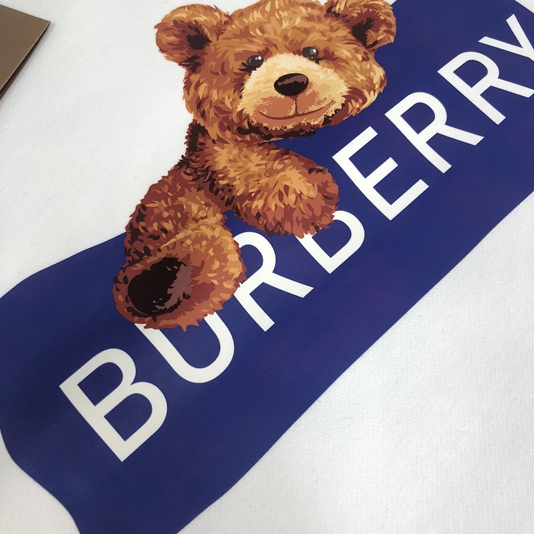 Burberry Hoodie Style 002 main view