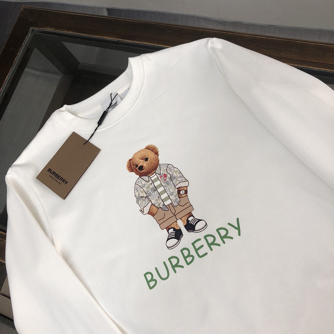 Burberry Hoodie Style 005 main view