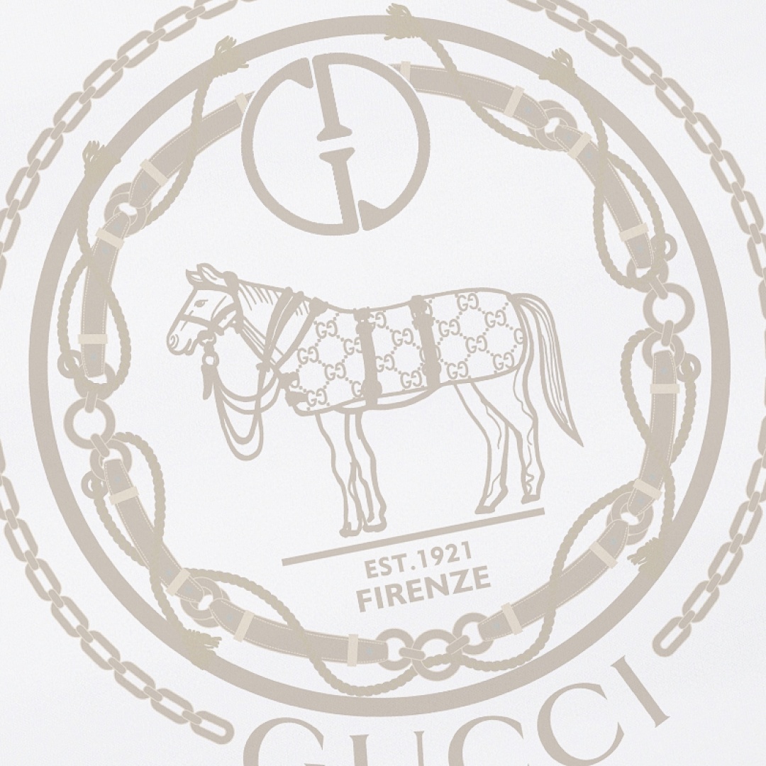 Gucci T-Shirt Style 667 main view