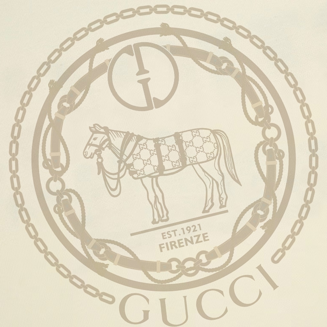 Gucci T-Shirt Style 668 main view